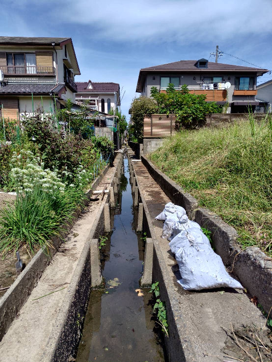 waterway cleaning 2025 fall.jpg